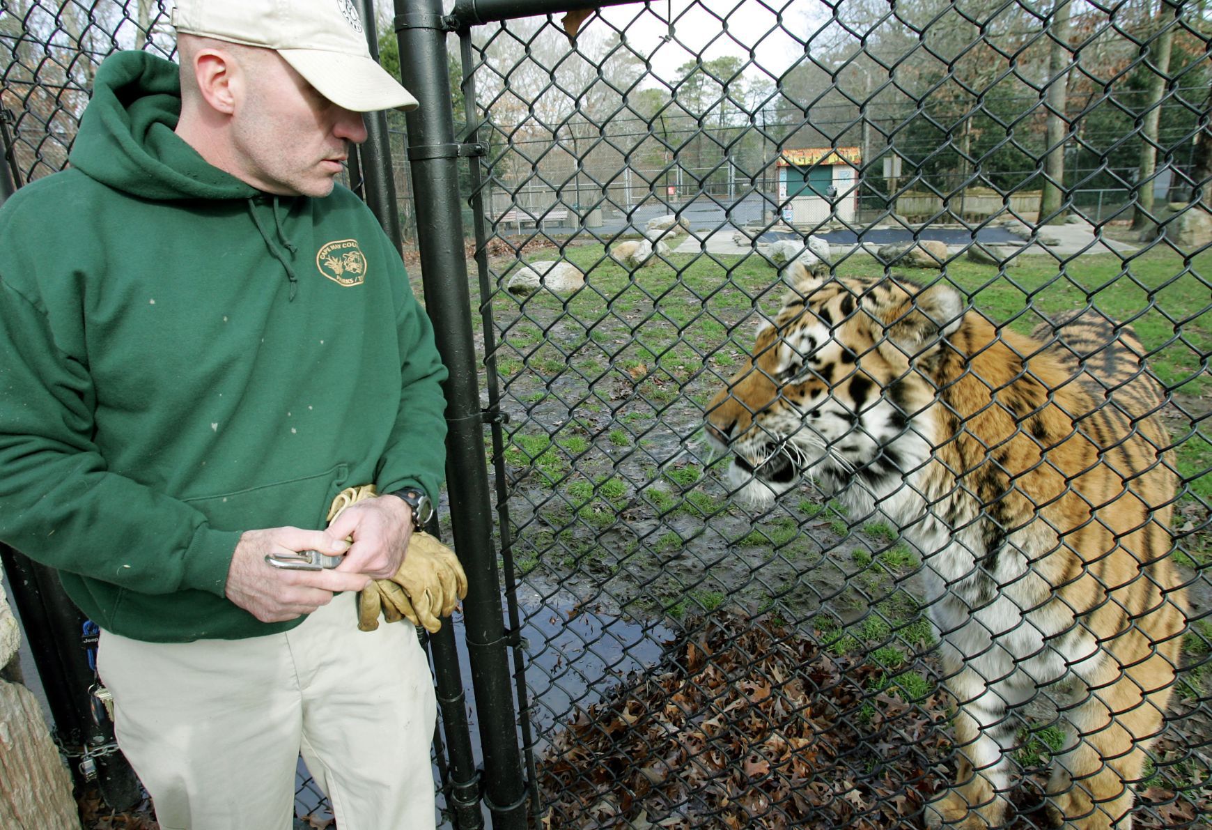 Zoo Safety